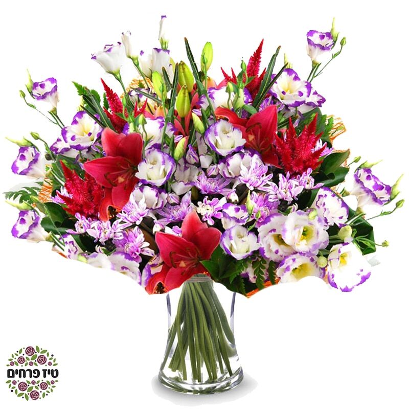 זר פרחים אהבה קולומביאנית טיז פרחים באר שבע זר פרחים אהבה קולומביאנית טיז פרחים באר שבע