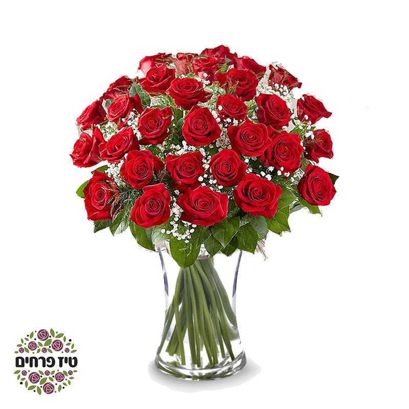 זר ורדים אדומים וגיבסניות טיז חנות פרחים באר שבע