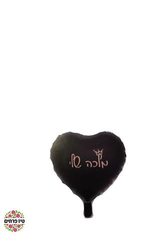 00d74_1SPLIT202301SPLIT06111708