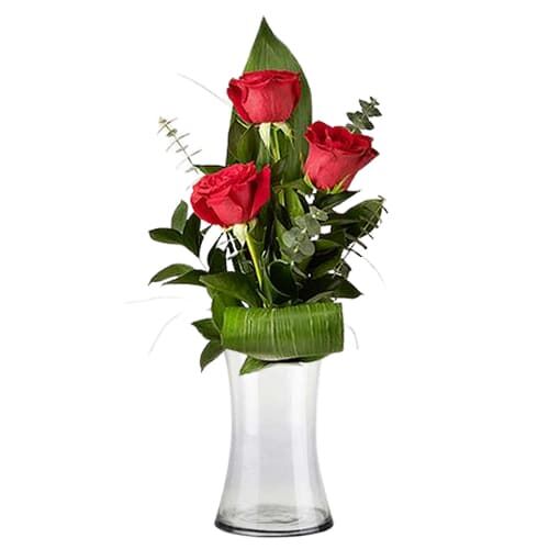 חנות הפרחים המובילה בתחנה המרכזית עם זרים לכל אירוע