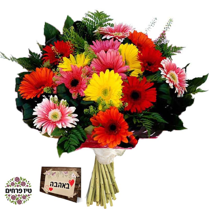 זר פרחים אביב גרברות טיז משלוחי פרחים באר שבע