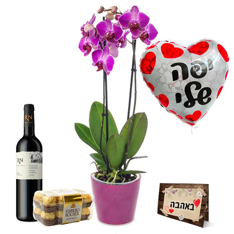 סחלב יין פררו רושה ובלון טיז חנות פרחים באר שבע