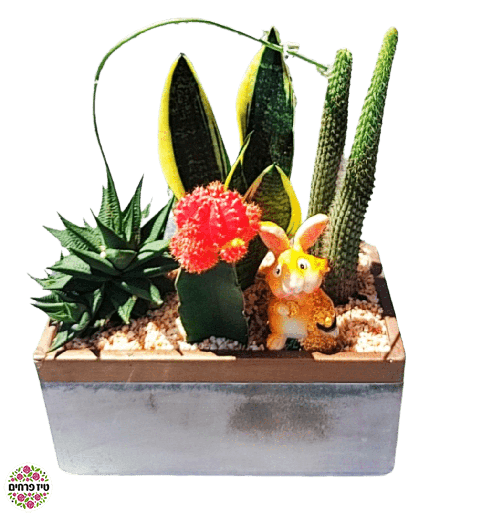 cropped_image-1-1-removebg-preview