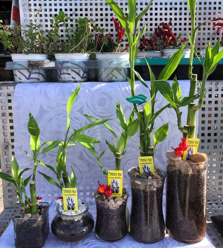 WhatsApp Image 2021-09-14 at 17.19.55 (22)