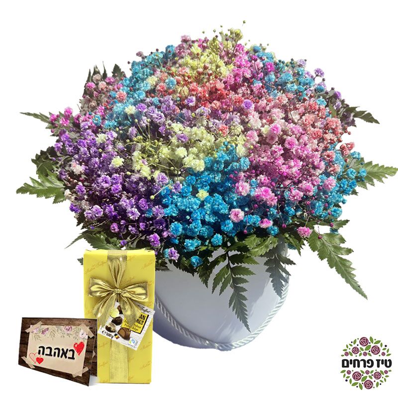 הוסיפו שמחה וצבע לכל חגיגה עם בלונים מיוחדים